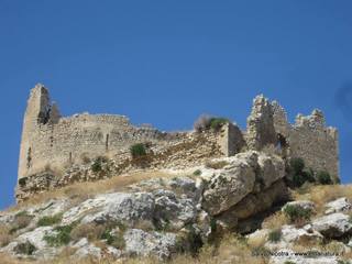 stello Mongialino-08-09-2014 17-04-30